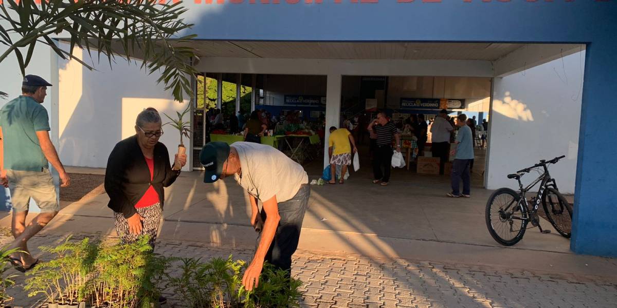 MUDAS NA FEIRA (10).jpeg